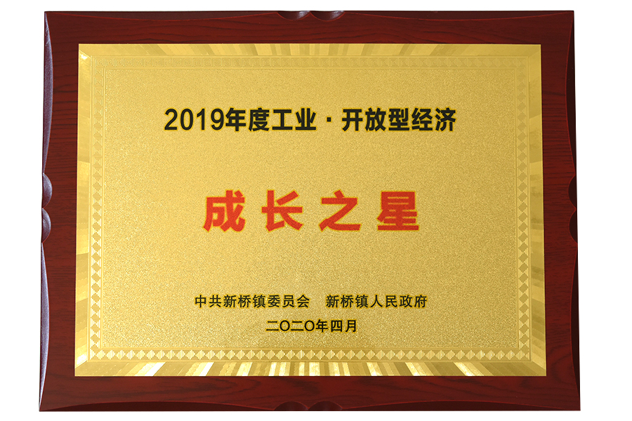 Hviezda Spoločnosti úspechu